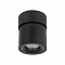 Светильник LOFT IT 10180 Black 3000K